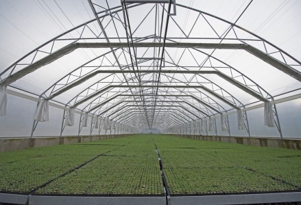 Реконструкція виробничо-складських приміщень