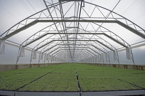 с.Вороняки. Загальноосвітня школа