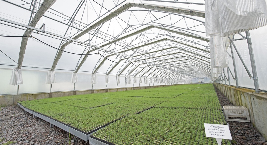 Реконструкція виробничо-складських приміщень