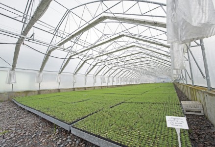 Реконструкція виробничо-складських приміщень