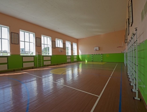 с.Вороняки. Загальноосвітня школа