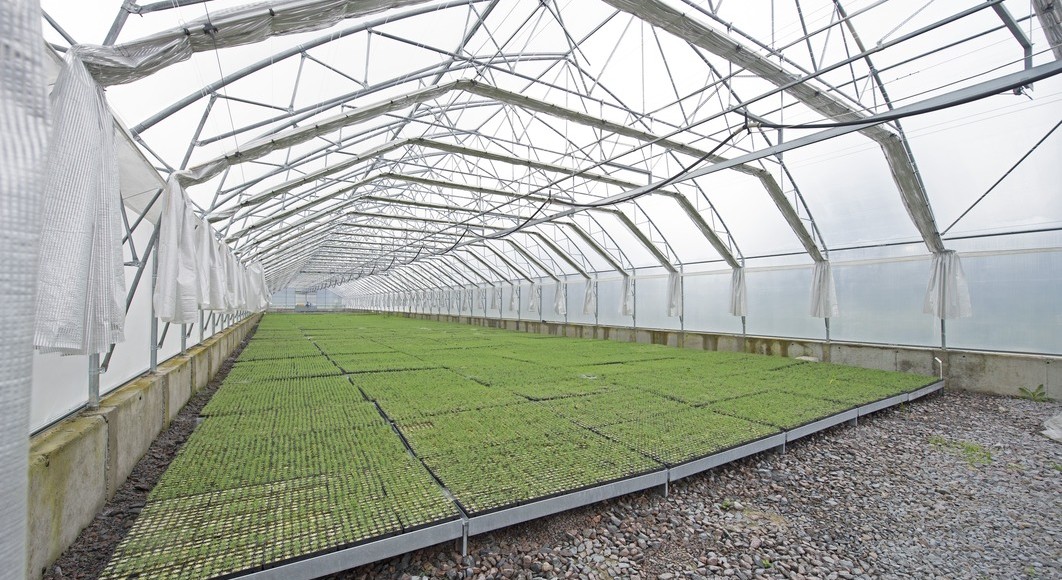 Реконструкція виробничо-складських приміщень